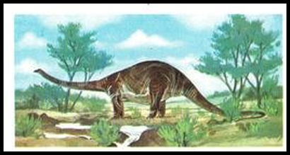 11 Cetiosaurus